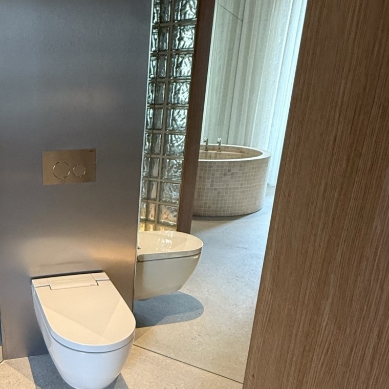 Inodoro AquaClean Alba (Casa Decor 2025 Geberit-Zooco) Inodoro AquaClean Alba (Casa Decor 2025 Geberit-Zooco)