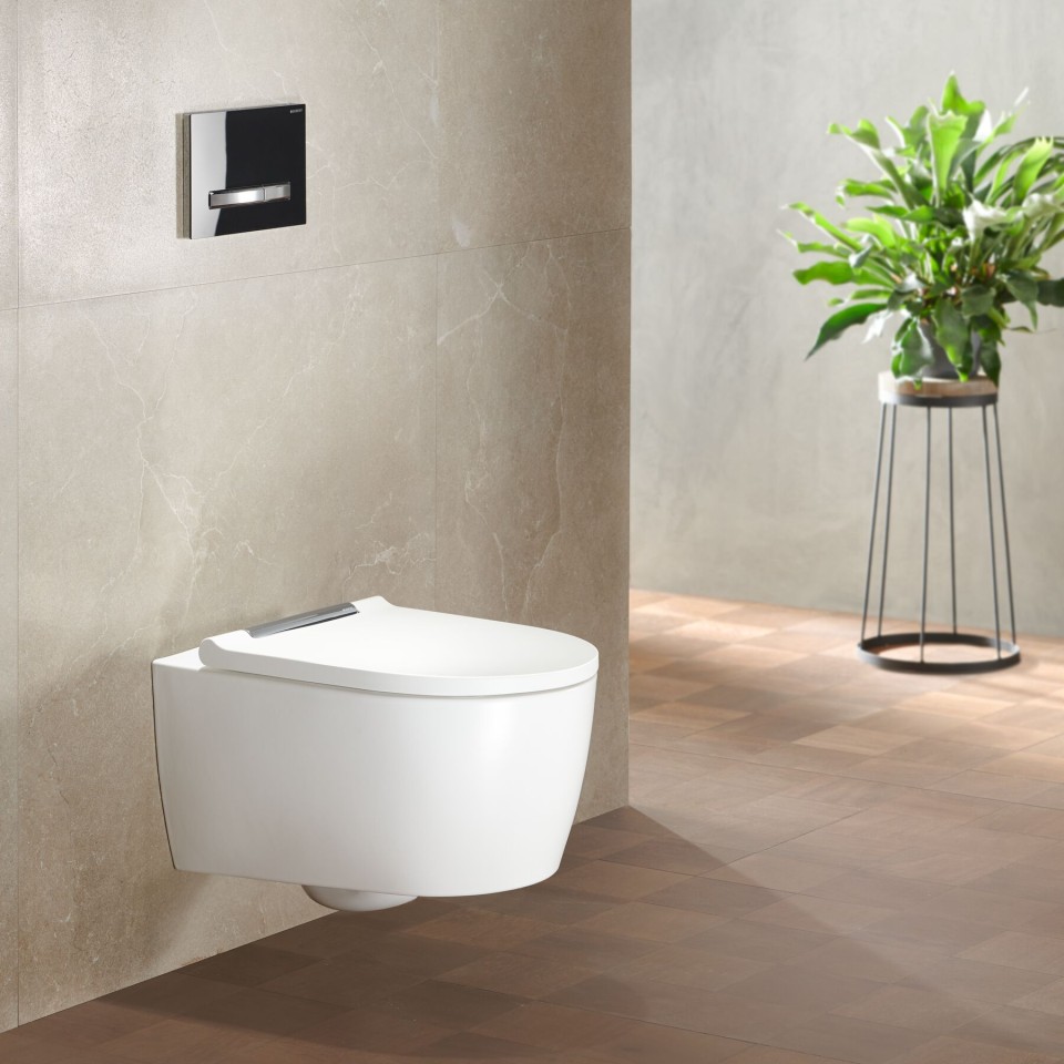 https://www.geberit.es/_assetsmaster/global-media/pictures/badezimmersysteme/wcs-draft-not-to-use/2911684-2023-wc-category-one-wc-white-matt-sigma50-chrome-black-1-1.jpg
