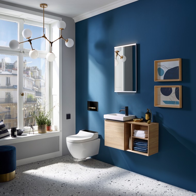 Inodoro bidé Geberit AquaClean Tuma en un baño Geberit iCon Inodoro bidé Geberit AquaClean Tuma en un baño Geberit iCon