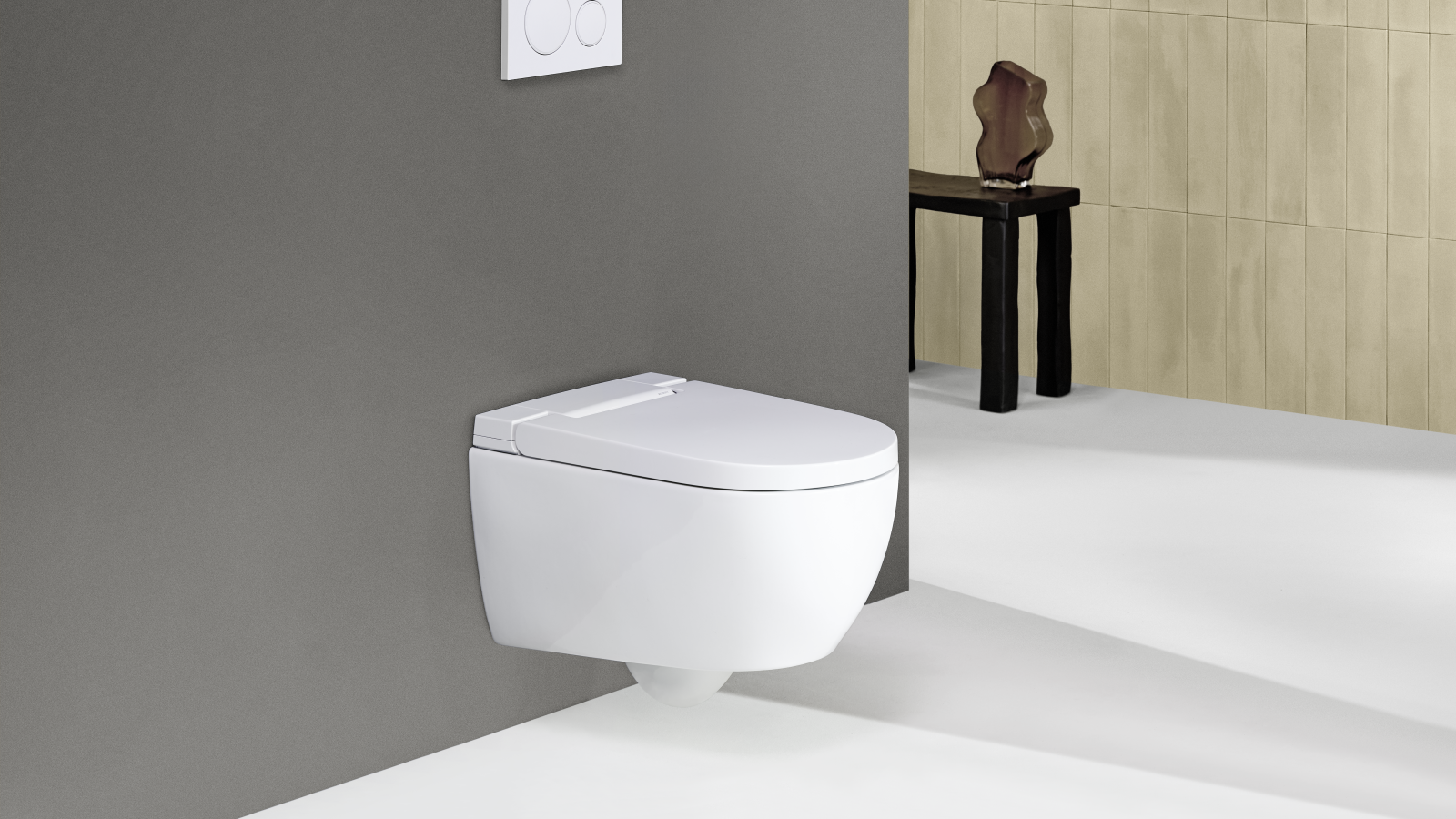 Geberit AquaClean Alba Geberit AquaClean Alba