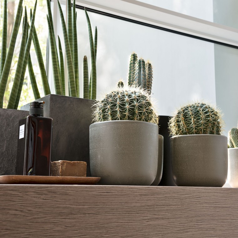 Varias plantas en el alféizar de una ventana Varias plantas en el alféizar de una ventana