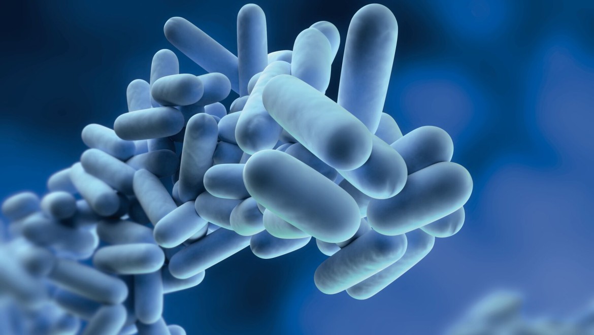 Las bacterias legionela pueden multiplicarse en el agua potable