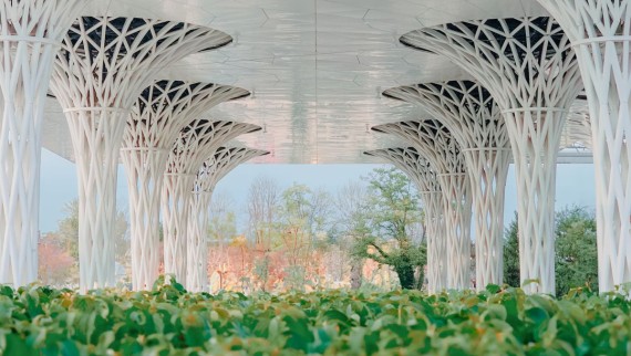 A lo largo del espectacular edificio se ha creado un jardín de casi 300 m² (© Alek Małchowski) A lo largo del espectacular edificio se ha creado un jardín de casi 300 m² (© Alek Małchowski)