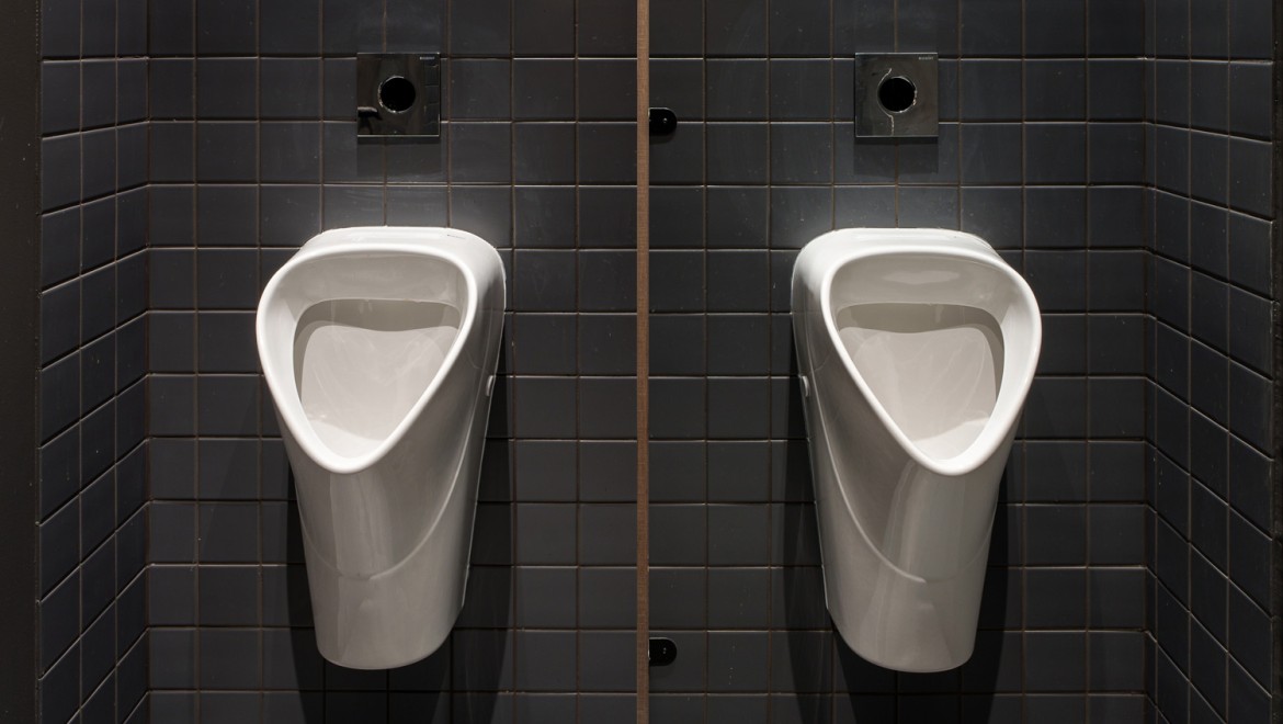 Elegancia clásica: los urinarios de la serie de baño Selnova (© Jānis Salmanis) Elegancia clásica: los urinarios de la serie de baño Selnova (© Jānis Salmanis)