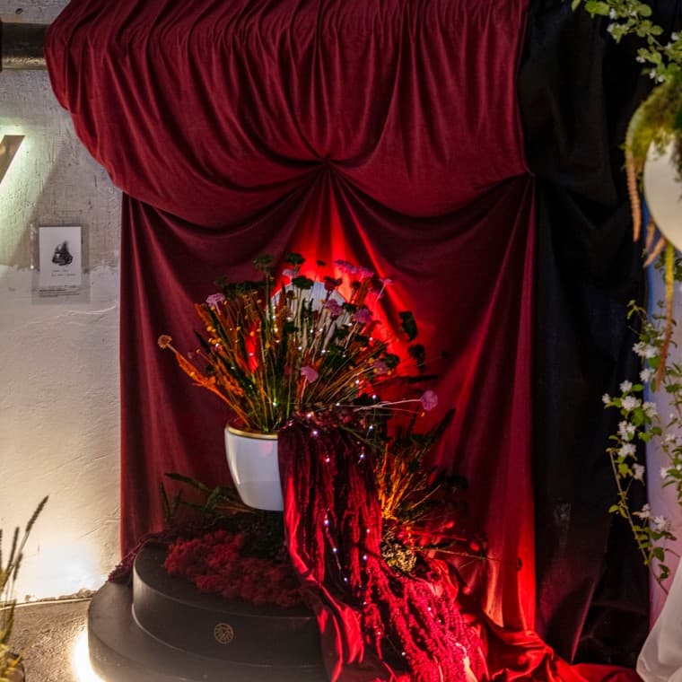 Geberit Tienes una flor ©jcvega Geberit Tienes una flor ©jcvega