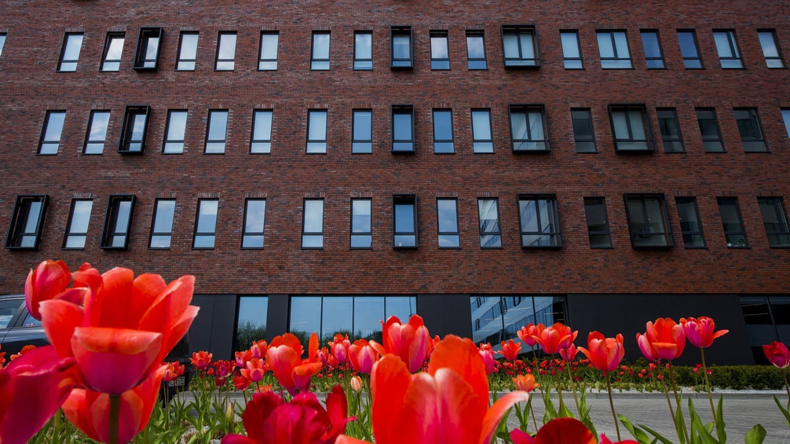 Anteriormente una fábrica, en la actualidad una residencia de estudiantes: LivinnX en Cracovia (PL) (© Jaroslaw Kakal/Geberit) Anteriormente una fábrica, en la actualidad una residencia de estudiantes: LivinnX en Cracovia (PL) (© Jaroslaw Kakal/Geberit)